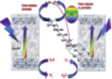 Chloride ion: A promising hole scavenger for photocatalytic hydrogen generation Image