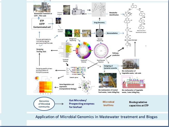 Wastewater Treatment and Biogas Image
