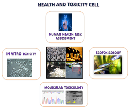 Health & Toxicity Health & Toxicity Image