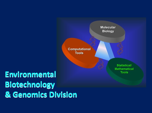 ENVIRONMENTAL BIOTECHNOLOGY AND GENOMICS DIVISION Image