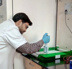 Horizontal Electrophoresis unit Image