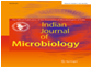 Gut-Bioreactor and Human Health in Future Image