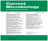 Cross-Reactivity of Prokaryotic 16S rDNA-Specific Primers to Eukaryotic DNA: Mistaken Microbial Community Profiling in Environmental Samples Image