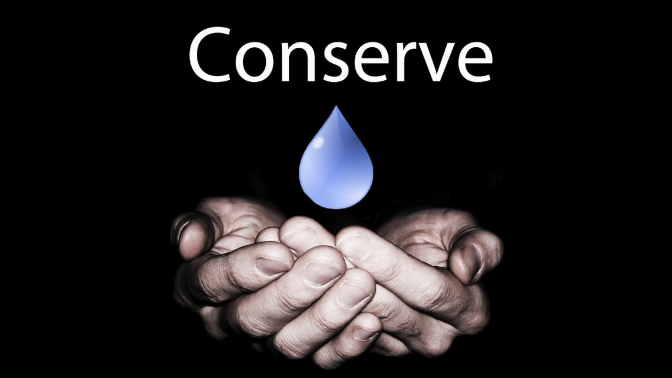 Phytorid- A wetland system based sewage treatment technology video